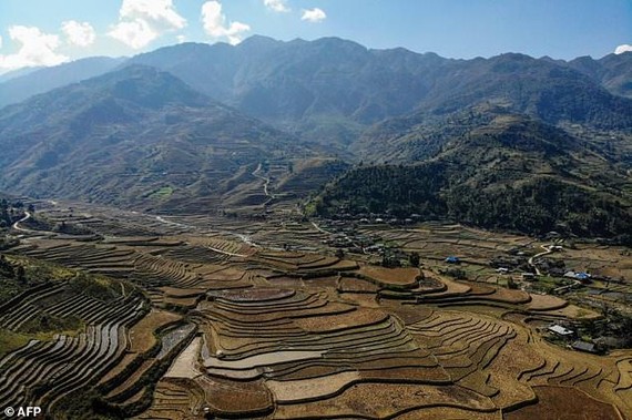 The spectacular terraces of Mu Cang Chai in northern Vietnam lie up to 1,000 metres above sea level