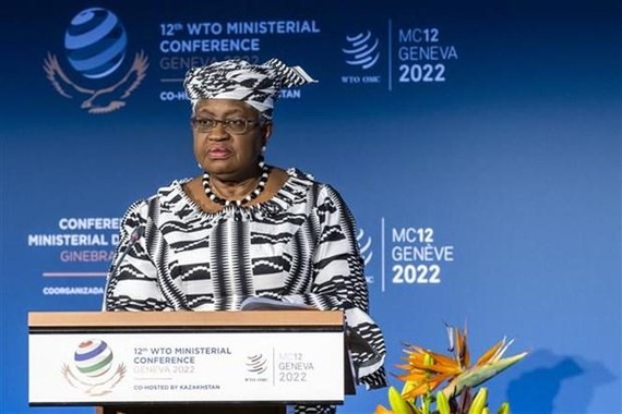 Tổng giám đốc WTO: Kinh tế thế giới đang trên đà suy thoái