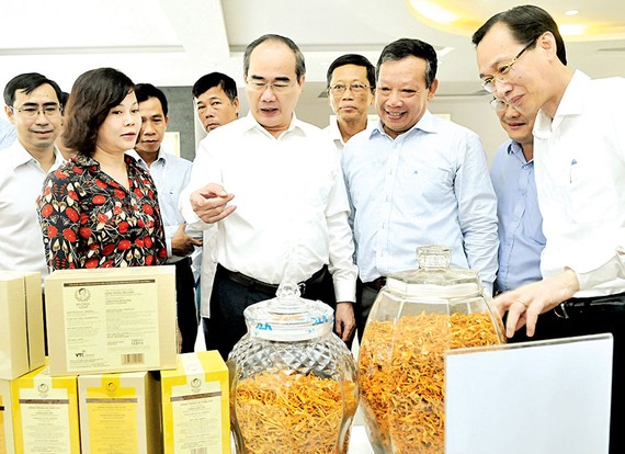 Bí thư Thành ủy TPHCM Nguyễn Thiện Nhân xem sản phẩm nông nghiệp công nghệ cao     Ảnh: CAO THĂNG
