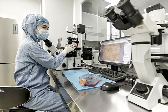 Công nghệ nano trong điều trị ung thư