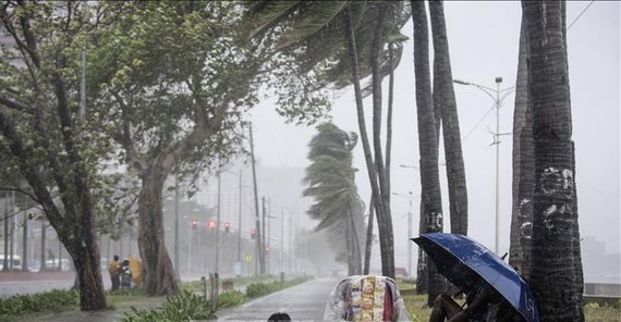 Bão Yutu gây mưa to gió lớn tại Vịnh Manila ngày 30-10. Nguồn: TTXVN