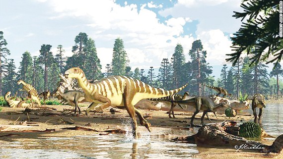 Phát hiện xương khủng long hiếm ở Australia
