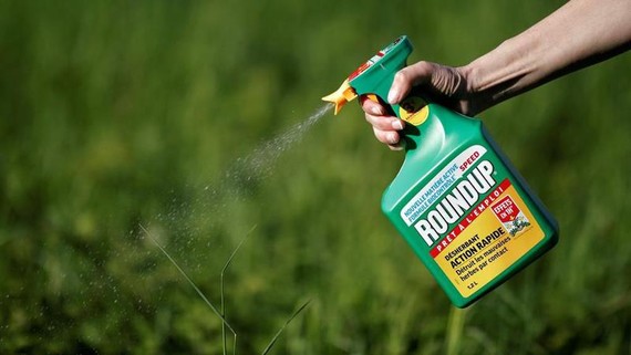 Thuốc diệt cỏ Roundup - Ảnh: Reuters