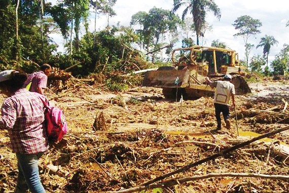 Rừng Amazon bị tàn phá nhanh