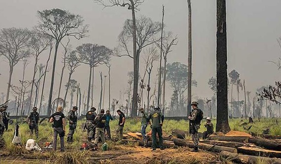 Brazil sẽ thuê các lực lượng cảnh sát môi trường để giám sát các đám cháy ở rừng Amazon