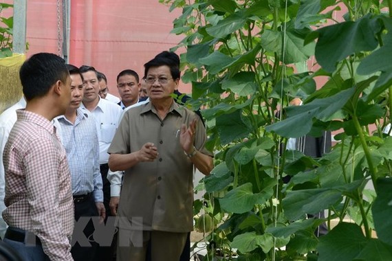 Thủ tướng Lào Thongloun Sisoulith tham quan Khu sản xuất rau sạch công nghệ cao Afarm