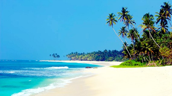 Một bãi biển ở Sri Lanka
