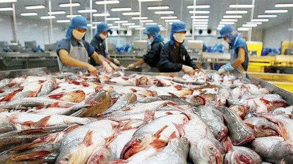 Bộ Nông nghiệp Mỹ tiếp tục thanh tra cá tra Việt Nam