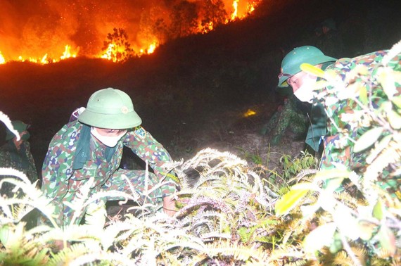 Lực lượng chức năng phát quang tạo đường băng ngăn cháy rừng ở huyện Hương Sơn, tỉnh Hà Tĩnh