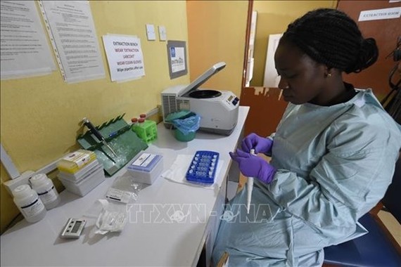 Nhân viên y tế làm việc tại phòng thí nghiệm tại Viện kiểm soát và nghiên cứu bệnh cúm Lassa ở Irrua, bang Edo, Nigeria. Ảnh: TTXVN