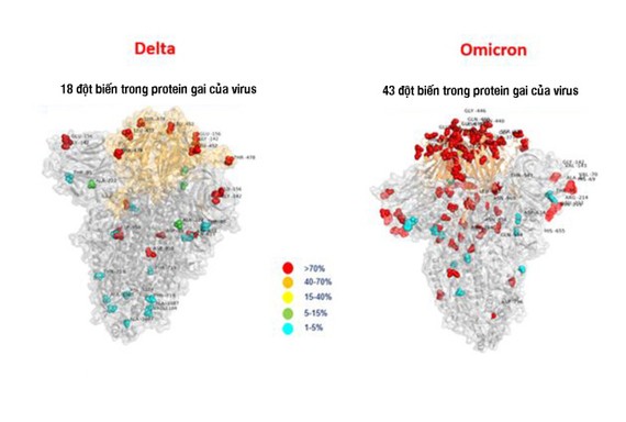 Hình ảnh so sánh lượng đột biến giữa Delta và Omicron. Ảnh: Ansa