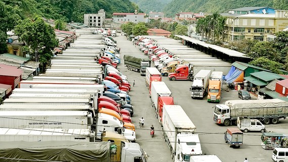 Bãi tập kết xe container chở nông sản Việt Nam xuất khẩu sang Trung Quốc tại cửa khẩu Tân Thanh - Lạng Sơn. Ảnh minh họa