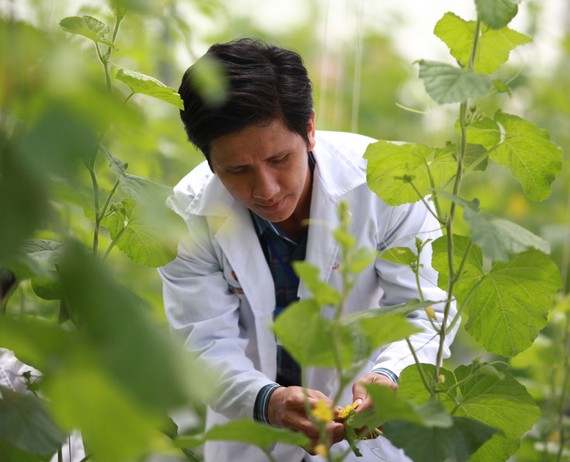Trung tâm Công nghệ sinh học TPHCM nghiên cứu, lai tạo giống cây nhằm phát triển ngành nông nghiệp thành phố