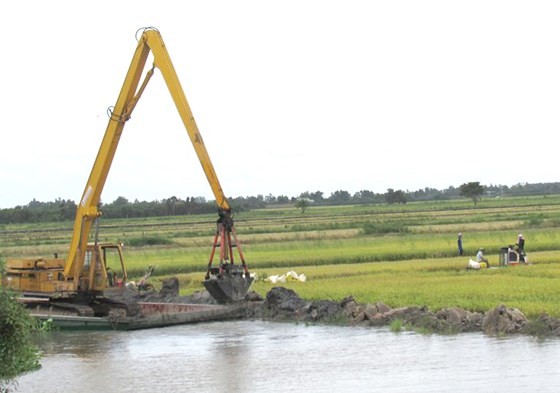 Mekong farmers urged summer-autumn rice harvest