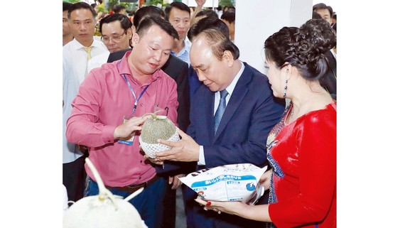 Thủ tướng Nguyễn Xuân Phúc thăm gian hàng trưng bày các sản phẩm nông nghiệp. Ảnh: TTXVN