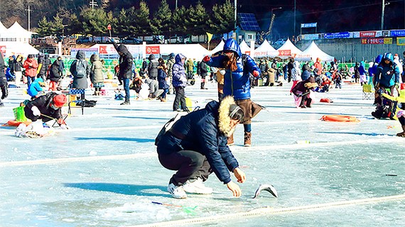 Lễ hội câu cá trên băng Hwacheon Sancheoneo