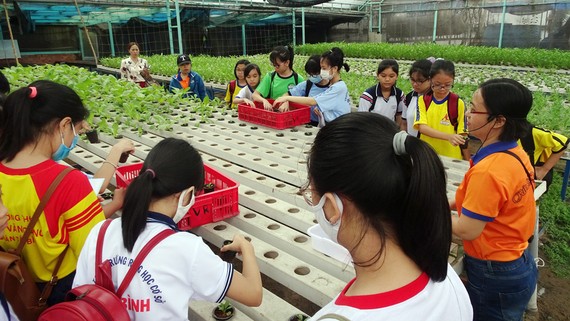 Các học sinh trải nghiệm trồng rau qua Cuộc thi “Văn hay chữ tốt”