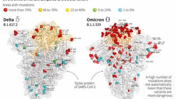 Hình ảnh thể hiện các đột biến của biến thể Omicron (phải) và Delta (trái) do các nhà khoa học thuộc Bệnh viện Bambino Gesu ở Rome (Italy) công bố