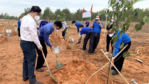 Đoàn viên, thanh niên Bình Thuận trồng 1.000 cây sao đen dọc tuyến kênh thủy lợi tại Khu Lê Hồng Phong, xã Hồng Phong, huyện Bắc Bình. Ảnh: TTXVN