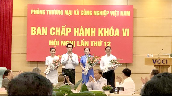Ông Lê Viết Hải tham gia Ban Chấp hành VCCI khóa VI