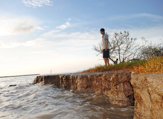 Đê biển Tây trên địa bàn tỉnh Cà Mau bị sạt lở nghiêm trọng