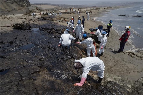 Công nhân môi trường Peru làm sạch bờ biển tại tỉnh Callao sau sự cố tràn dầu liên quan vụ núi lửa phun trào ở Tonga, ngày 17-1-2022. Ảnh: TTXVN