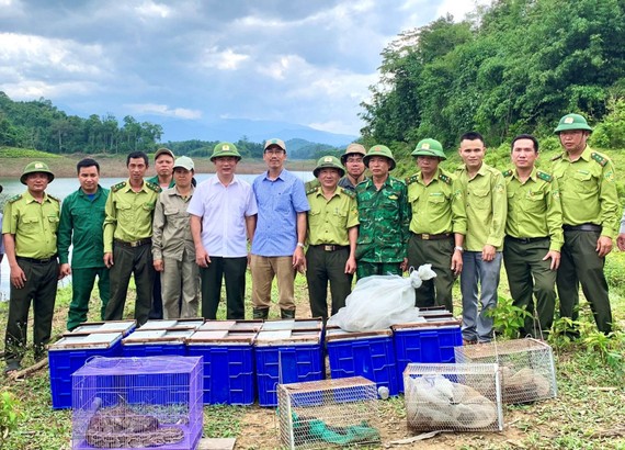 Cơ quan chức năng chứng kiến việc thả cá thể động vật hoang dã  vào Vườn quốc gia Vũ Quang