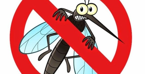 Muỗi là một trong những nguồn lây bệnh sốt rét