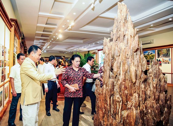 Tại Bảo tàng Trầm Hương, anh Nguyễn Văn Tưởng giới thiệu với Chủ tịch Quốc hội Nguyễn Thị Kim Ngân về chiến lược phát triển Trầm hương Khánh Hòa.