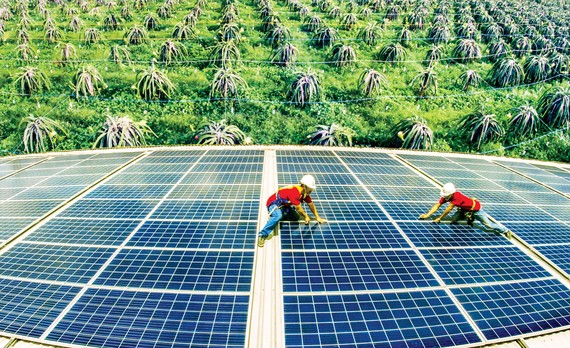Nhiều dự án điện mặt trời ở Ninh Thuận-Bình Thuận đến nay vẫn không bán được điện vì không có đường dây tải điện.