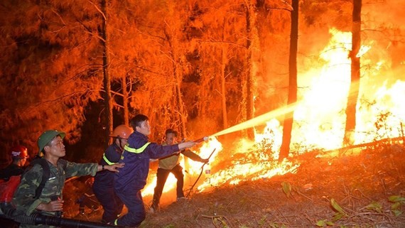 Cháy rừng tiếp tục diễn biến phức tạp
