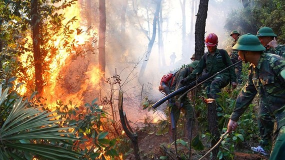 Lực lượng chức năng triển khai khống chế cháy rừng ở huyện Nghi Xuân