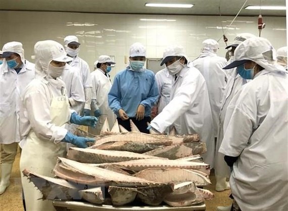 Đoàn Ủy ban Nghề cá của Nghị viện châu Âu kiểm tra tại Công ty Cổ phần thủy sản Bình Định. (Ảnh: Nguyên Linh/TTXVN)