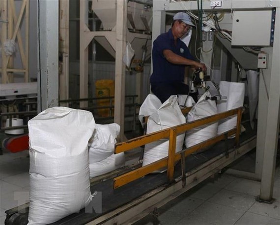Giá gạo của Việt Nam giảm vì lo ngại Philippines hạn chế nhập khẩu