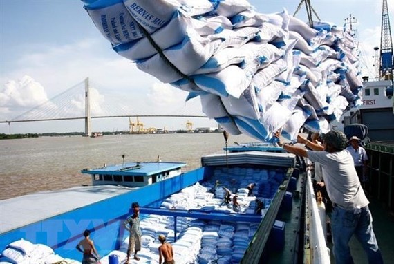 Việt Nam trở thành nước xuất khẩu gạo với khối lượng lớn, đứng thứ hai thế giới, góp phần vào an ninh lương thực quốc tế. (Ảnh: Đình Huệ/TTXVN)