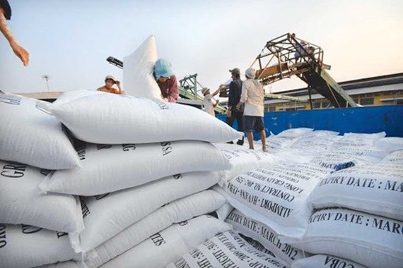 Xuất khẩu 400.000 tấn gạo: Có dấu hiệu bất thường, bỏ trúng thầu sang xuất khẩu