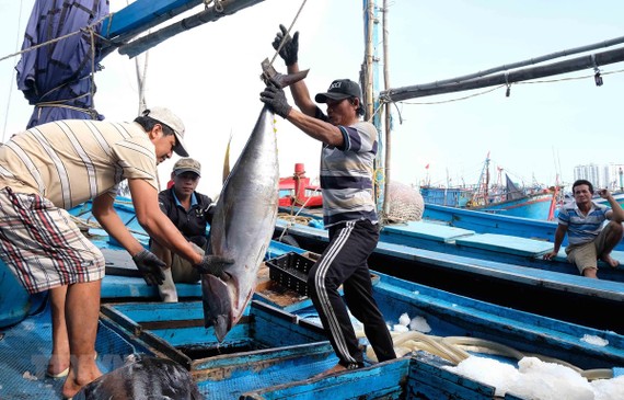 Việt Nam bảo vệ và phát triển nguồn lợi hải sản vì một đại dương xanh