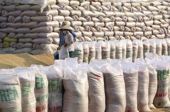 Tái cơ cấu, tăng giá trị cho gạo Việt Nam