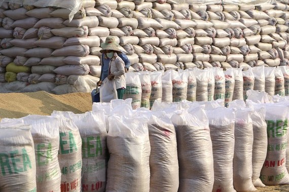 Gạo xuất khẩu của Việt Nam tiếp tục đạt giá cao. (Ảnh: TTXVN)