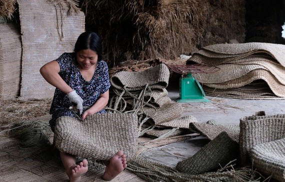 Người thợ (Nga Sơn, Thanh Hóa) đang đan sản phẩm cói xuất khẩu tại Doanh nghiệp tư nhân Sản xuất kinh doanh xuất khẩu Việt Trang. (Ảnh: CTV/Vietnam+)