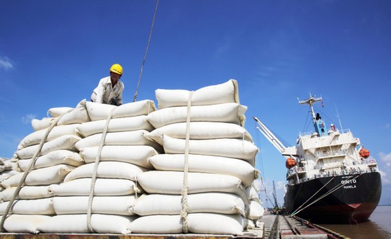 Hiệp định EVFTA mở ra cơ hội lớn chưa từng có cho gạo Việt