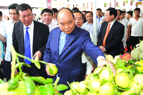 阮春福總理參觀新農村產品。