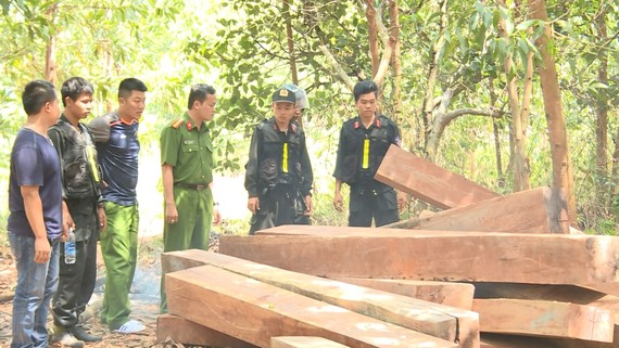Cơ quan công an đang điều tra vụ phá rừng quy mô lớn tại Công ty lâm nghiệp Ea Kar