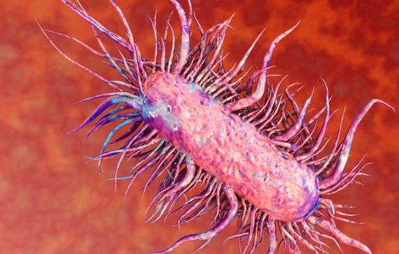 Đắk Lắk: Ghi nhận 1 trường hợp nhiễm "vi khuẩn ăn thịt người"