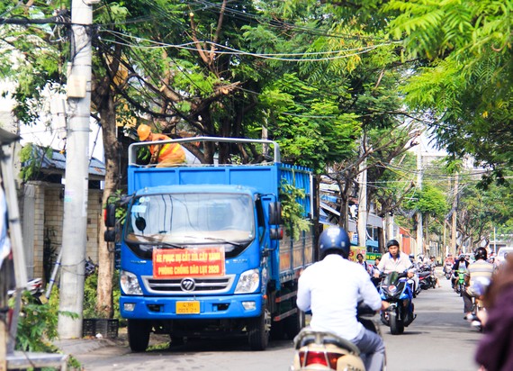 Cây xanh trên đường Nguyễn Phan Vinh (quận Sơn Trà, TP Đà Nẵng ) được cắt tỉa trước khi cơn bão số 9 đổ bộ 
