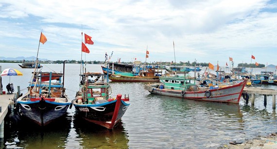 Luật thủy sản mới gây khó cho ngư dân miền Trung