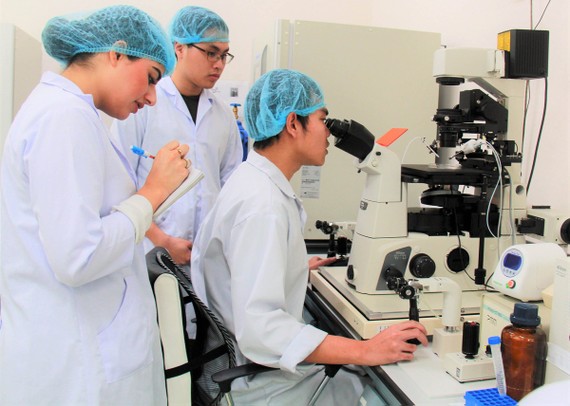 Sinh viên Trường ĐH Quốc tế (ĐH Quốc gia TPHCM) thực hành tại phòng thí nghiệm