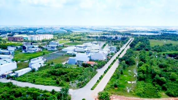 Một góc khu đất được TPHCM đề xuất quy hoạch KCN mới tại huyện Bình Chánh