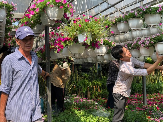  Chăm sóc hoa tại một vựa hoa kiểng trên đường Phan Huy Ích (quận Gò Vấp)