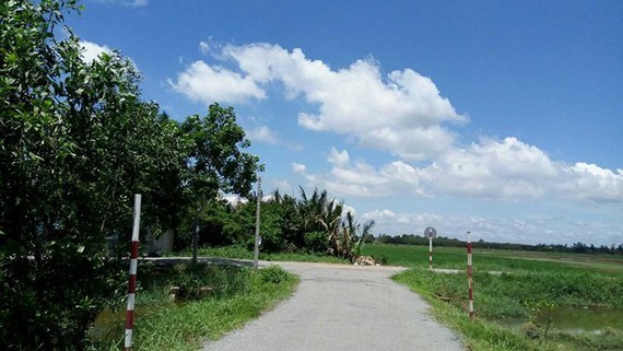 Kiến nghị điều chỉnh chức năng quy hoạch khu đất 384,2ha tại huyện Hóc Môn